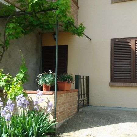 Appartamento In Collina "La Perla" Riparbella Exterior photo