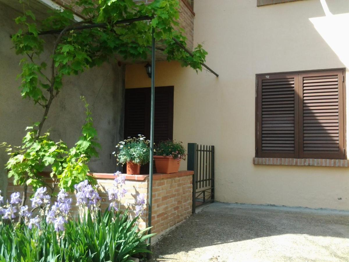 Appartamento In Collina "La Perla" Riparbella Exterior photo